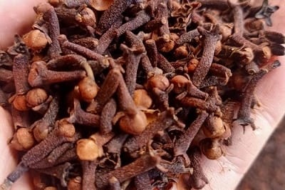 Cengkeh